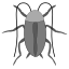 images/roach/roach_3.png